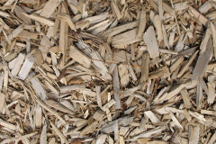 biomass boilers Kinnadie